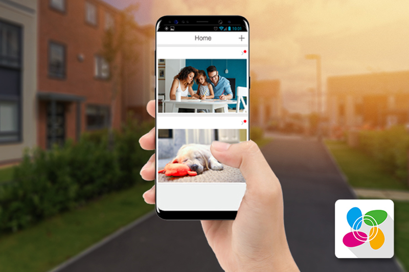 camera EZVIZ giá rẻ tại Hải Phòng