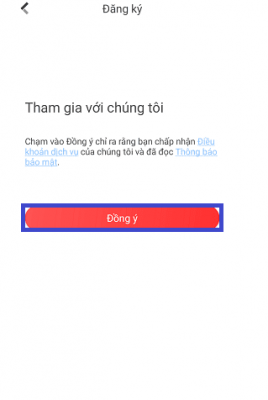 ảnh 5