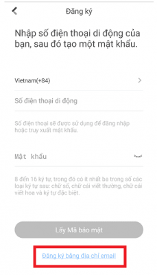 Ảnh 7