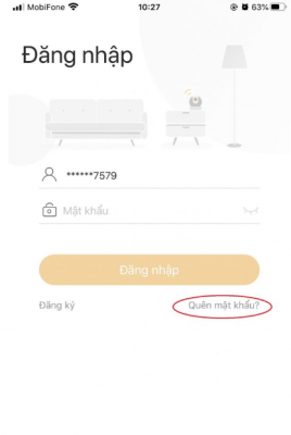 ảnh 8