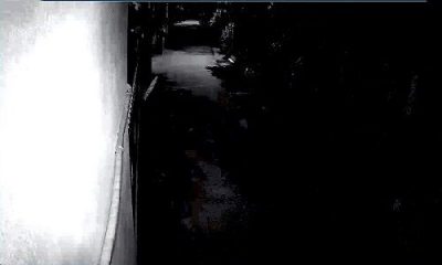 Camera Bi Phan Hồng Người