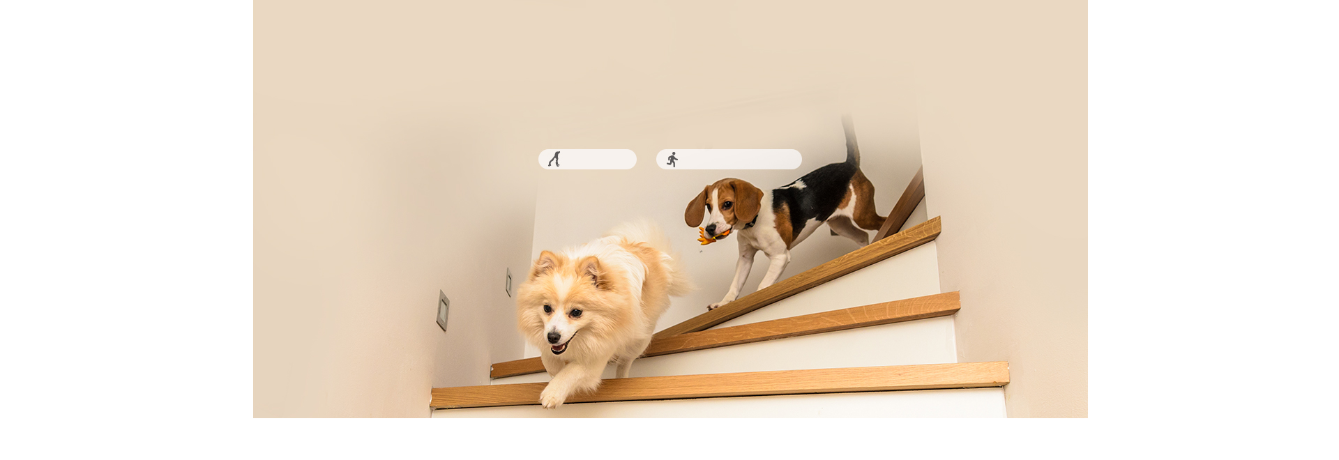 ee1e15b76082f0c6c437a5a7e14b01f4