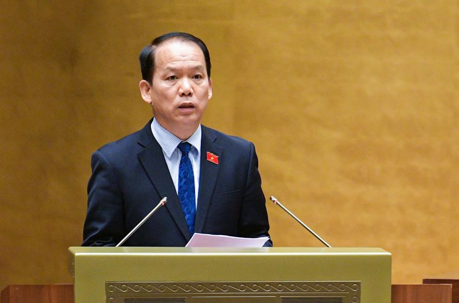 Chủ tịch Ủy ban Pháp luật Hoàng Thanh Tùng.