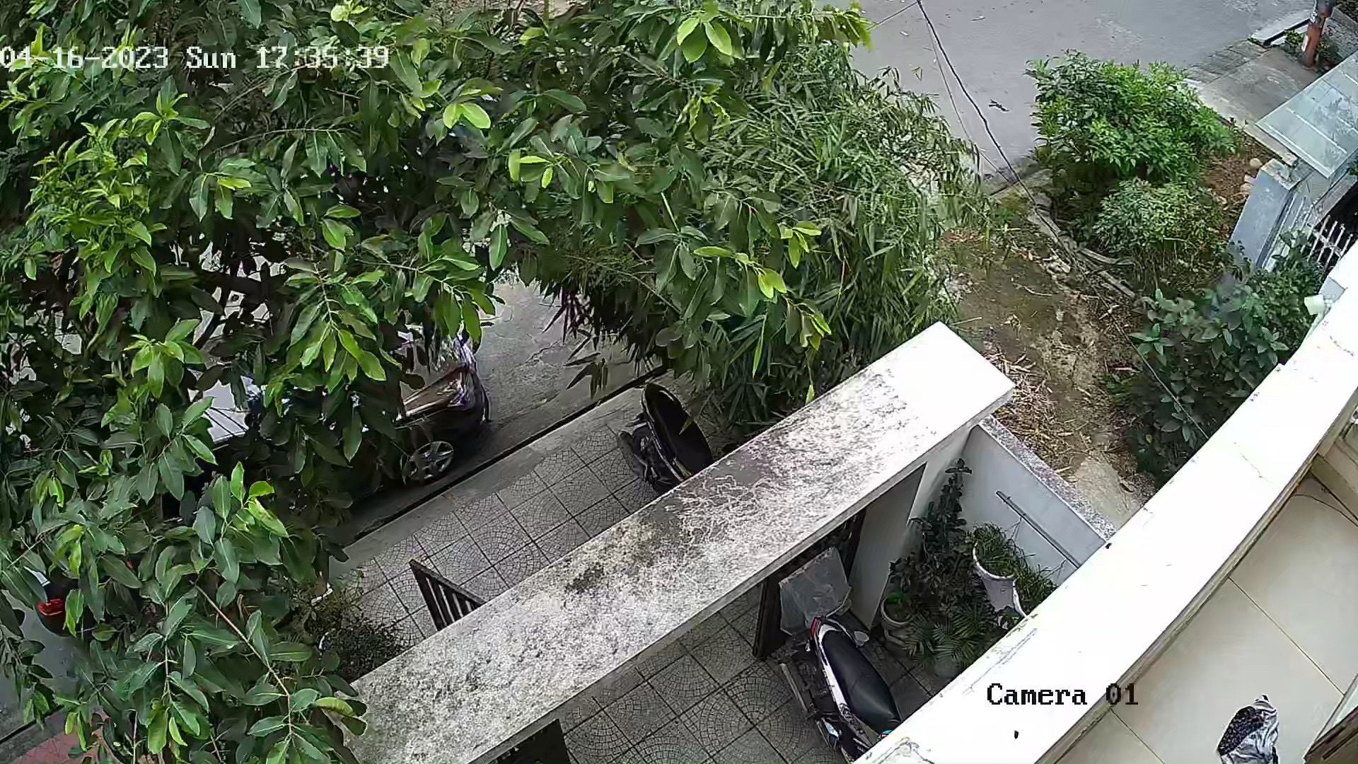 Lắp đặt Camera Đồi Rồng